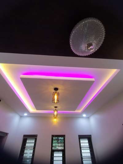 gypsum ceiling with vineer paneling