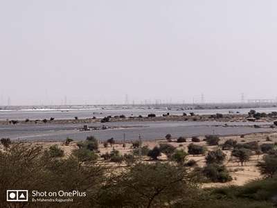 Rajasthan Jaisalmer Adani solar plant 300 MW