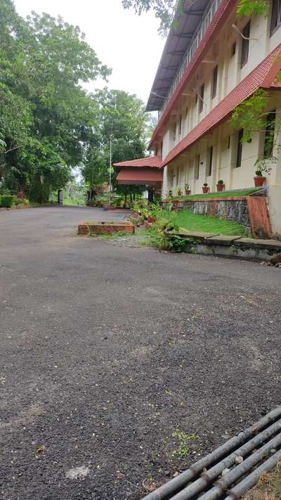 maintenance @malappuram guest house #LandscapeGarden  #GardeningIdeas  #NaturalGrass