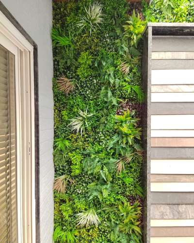 Cover your Balcony walls like this Vertical Garden mats.
These are UV protected can be used in outdoor as well as indoor and comes with warranty of 5 years.

Contact us for installation of ARTIFICIAL VERTICAL GARDEN🌱🌱 

📞 9818616727
✉️ greenspacedecor55@gmail.com


@greenspacedecorr
.
.
.
.
#verticalgarden #greenwall  #garden #interiordesign #landscape #houseplantsmakemehappy #plantsmakehappy #mosswall #green #indoorgardening #gogreen #verticalgardensolutions #greenspacedecor #balconyview #balcony #balconylife #balconydecor