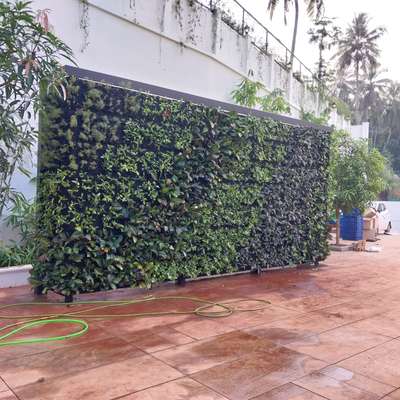 Technowall®
The real sustainable vertical garden system.

Created a green wall to hide the view of a "well" infront of the portico of a newly built  Bungalow at Kottakkal, Kerala.