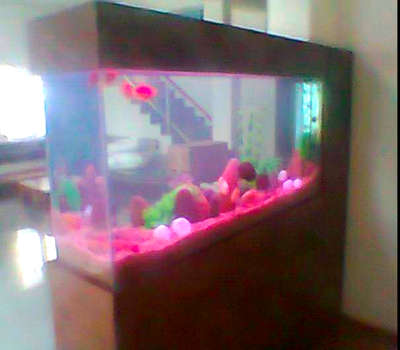 #partitions aquarium. #artificial plants, #live fish #rocks.free installation