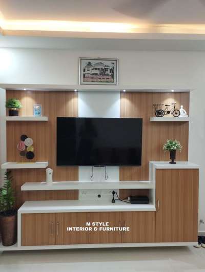 Living TV unit