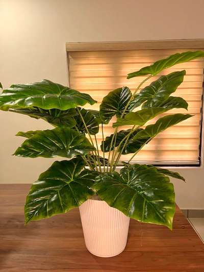 artificial plant
dm 👉9633054837
#HomeDecor #sweet_home #elegantdecor #community #leaves #greenenergy #care #FloorPlans #fertilizer #Sheracart