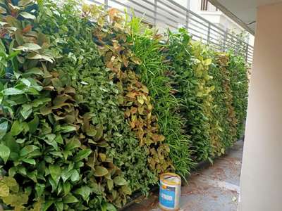 Vertical garden in door