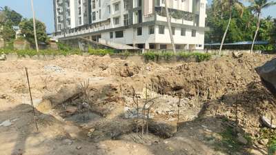 Pile Chipping #sitevisit  #StructureEngineer  #Structural_Drawing  #structural_design  #structuralstability