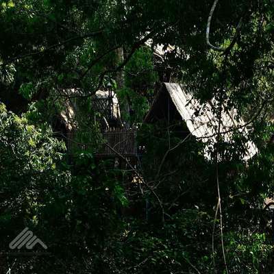kudil tree house