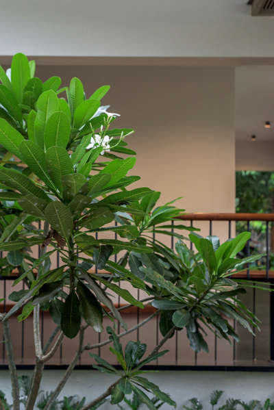 #tropicaldesign  #homedecor #homeinteriors #architecture #exterior_Work #reelinstagram #kolopost