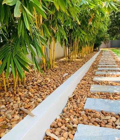 #goldenbamboo #pebbles 

For more information pls call 7025096999
