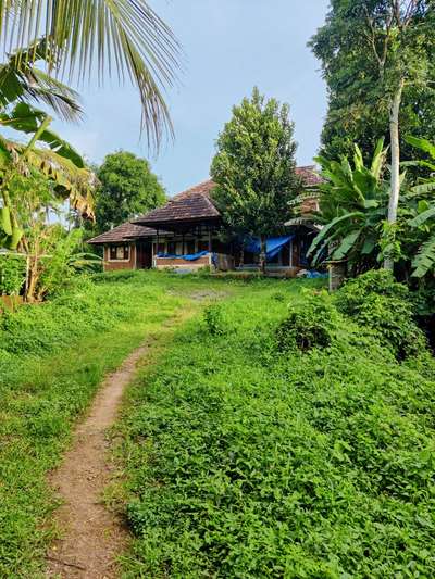 Ongoing residential project at Pattambi, Palakkad. 
#keralatraditionalhome #Nalukettu #keralaarchitecture #vernaculararchitecture #sustainable #reduce #reuse #texture #nature