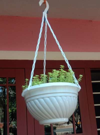 hanging pot 

9946455152