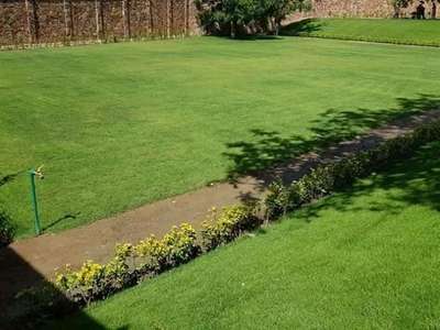 Lawn Devlopment