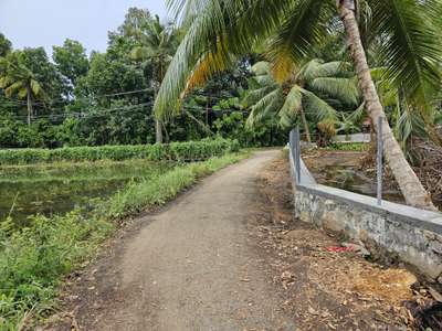 Boundary wall