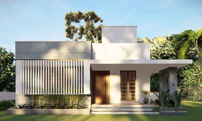 Exterior elevation design for single story 850sqft home @Tholannoor Palakkad .
#palakkad #kerala #elevationdesign #3dmodeling #architecture #visualisation