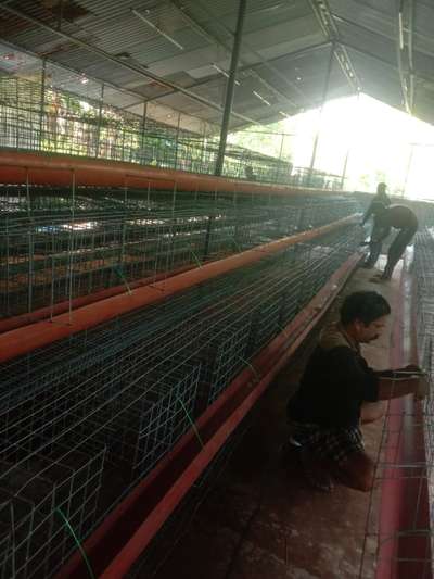 #hitech egg farm