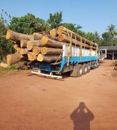 malabar Teak