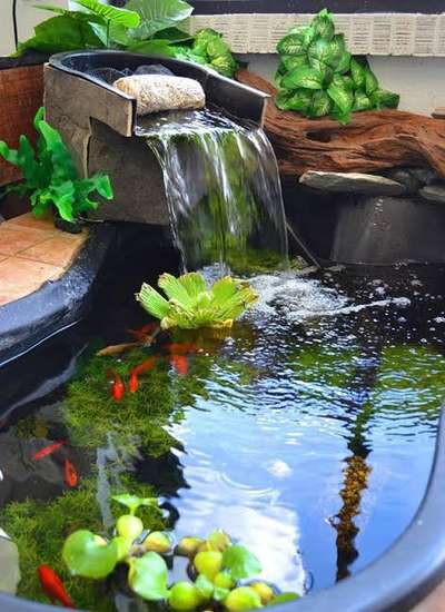 #fishpond #fish #koipond #koiponddesign #koifish #waterfeature #goodvibes