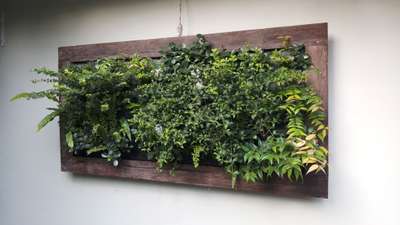 Plant frame.
wall mounting garden from Technowall®
Whatsapp: 9847001910