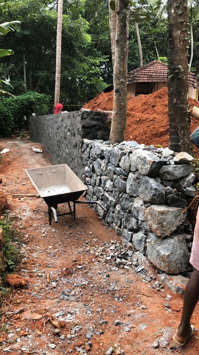 Boundary Wall ൽ ഒരു പ്ലാവ്.. ഇങ്ങനെ കെട്ടിയത് കൊണ്ട് ഭാവിയിൽ പ്രശ്നം ഉണ്ടാവുമോ..?