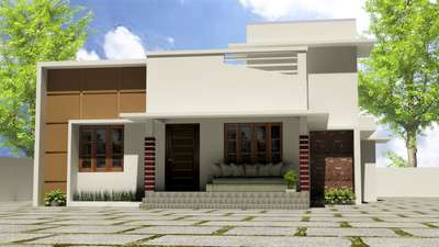 1100 sq feet singel story home design