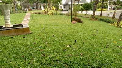 landacaping home garden ph 9605371788 (Kerala work)