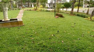 landacaping home garden ph 9605371788 (Kerala work)