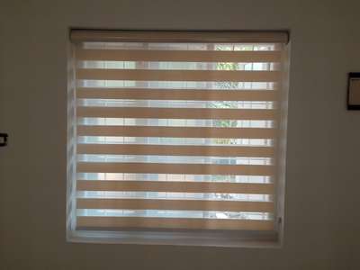 zibra roller blinds