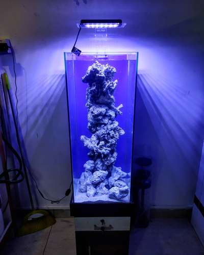 tower aquarium