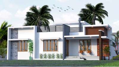 #exterior_Work  #ContemporaryHouse  #Thrissur #mala