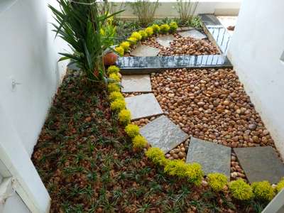 apartment dry garden with pebbles n plants