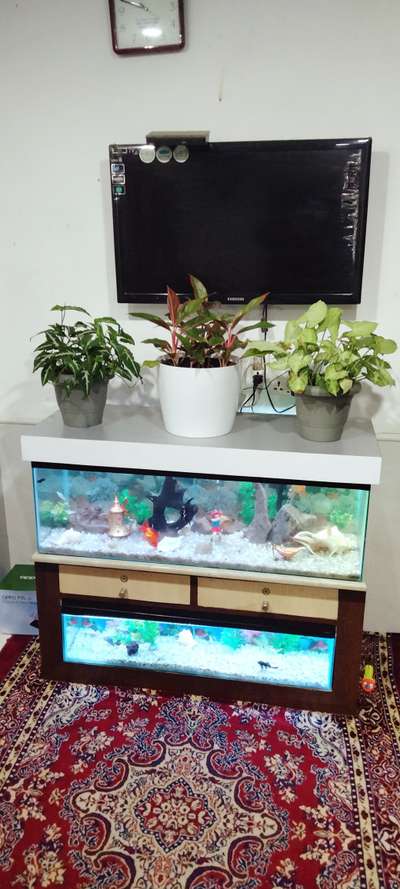 fish tank my work.