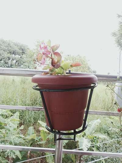 Balcony Flower Bracket