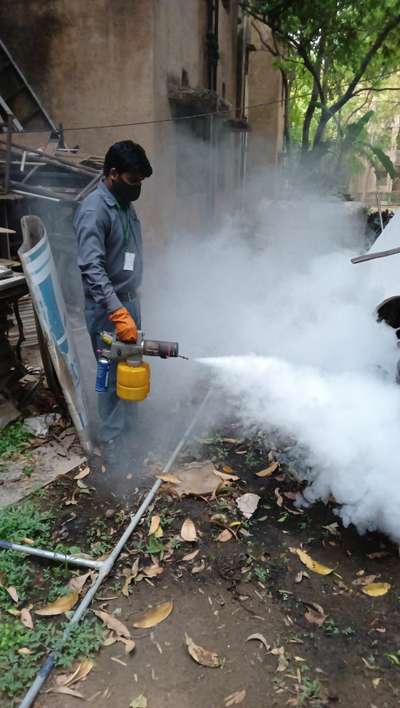 #fogging services