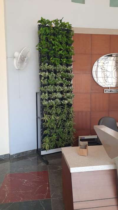 #VerticalGarden