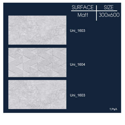 Designer Tiles available at Silver Bath at a nominal Price.
Contact @9625381445 now!!!!!!!
 #tiles #FlooringTiles #elevation #modernhome #modernhousedesigns