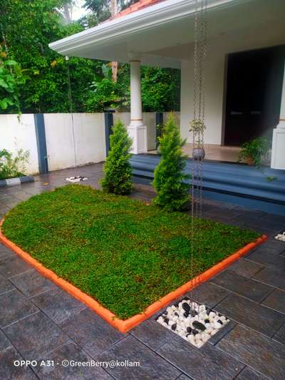 #smallarea #PearlGrass #pearl #pebbles #green #lovehome