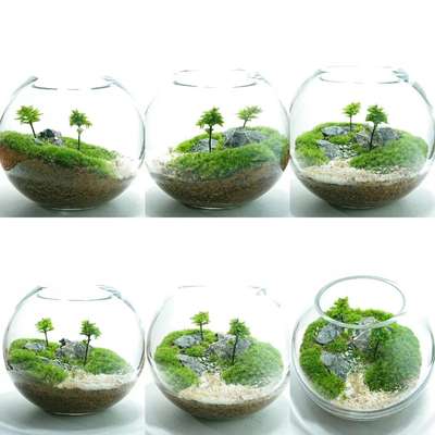 Terrarium Landscape
#terrarium  #GardeningIdeas  #LandscapeGarden