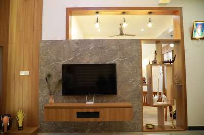 TV unit