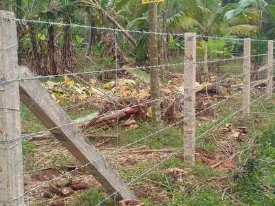 TATA Barbed wire fencing
Thrissur  #fence