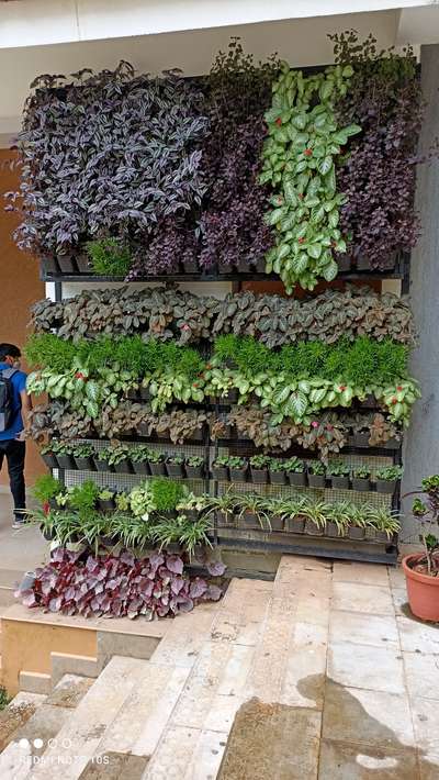 vertical garden #VerticalGarden  #LandscapeGarden  #LandscapeDesign