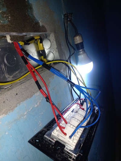 switch borde wiring