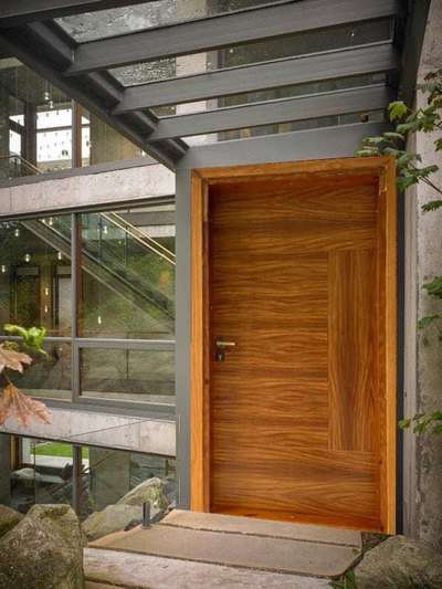 Natural Veneer Door collections
