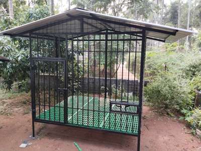 dog cage