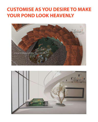 Our koi pond designs  #koipond #koifish #indoorkoipond #aquarium #japanesekoi