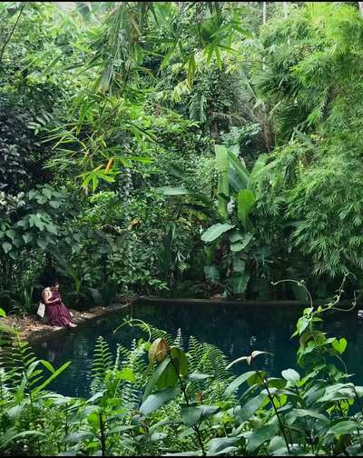 #pool #trees #plants #green #natural #fishpond #positive #vibes