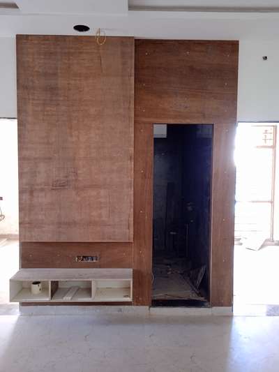 TV PANAL  + BATH DOOR