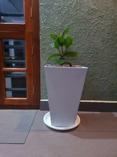 Tile pots   #pots #HomeDecor #FlooringTiles #POTPLANTS