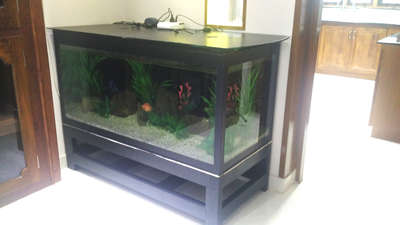 Fish Tank