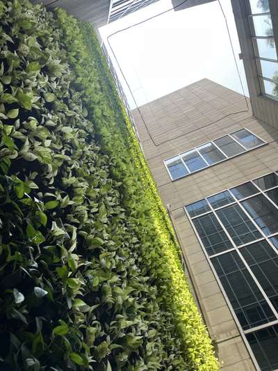 #VerticalGarden  #Greenwall