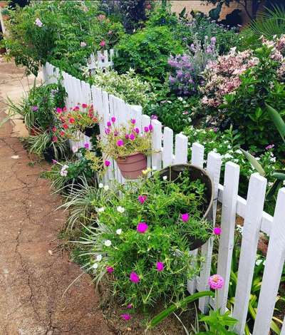 #GardeningIdeas #FlowerGarden #plants #plantsmakepeoplehappy #naturelove #plantslover
